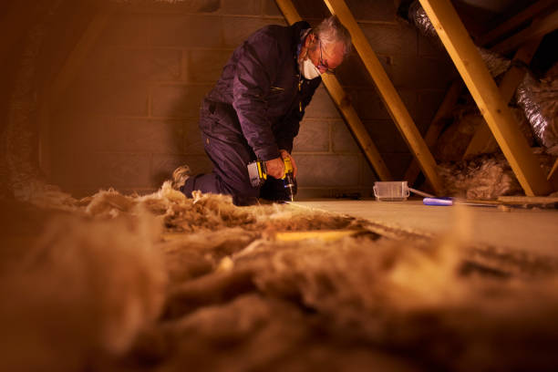 Best Insulation Maintenance and Repair in , IA